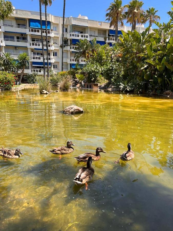 Costalago Beach Torremolinos Eksteriør billede